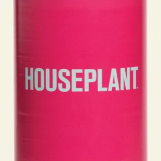 Houseplant
