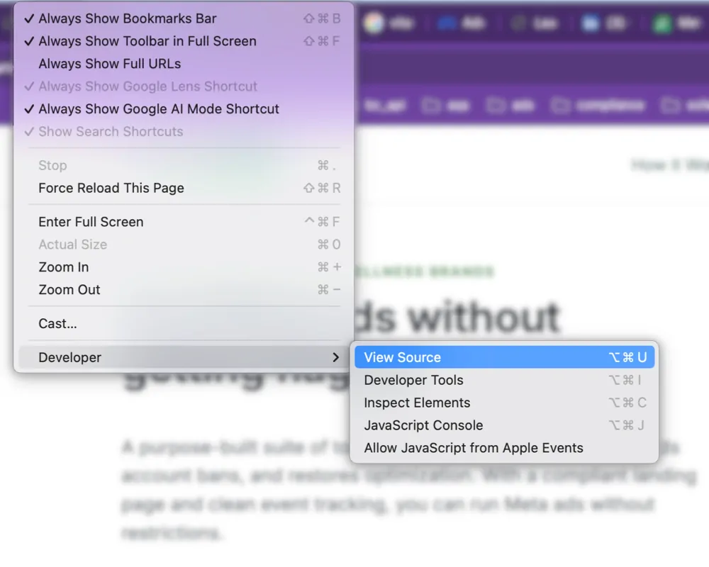 How to view page source in a browser